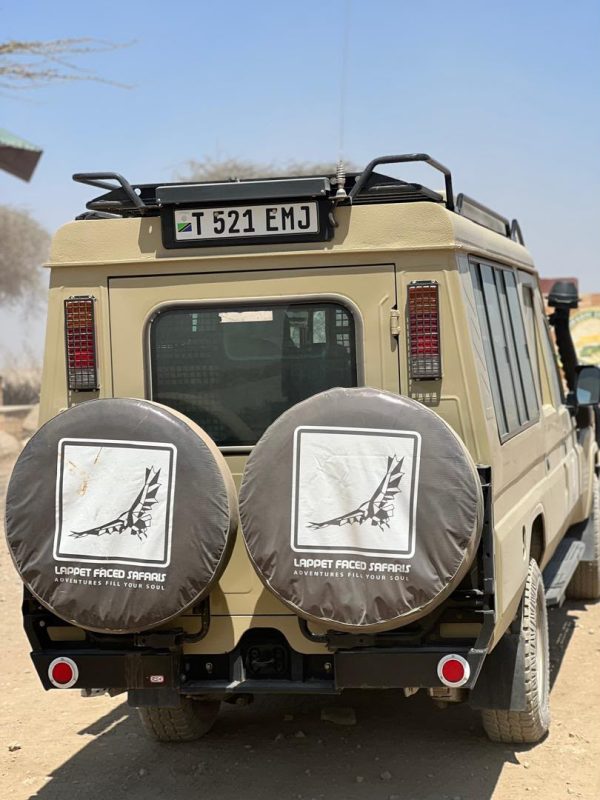 Rear of a Lappet Faced Safaris Land Cruiser showing the branded spare wheel covers