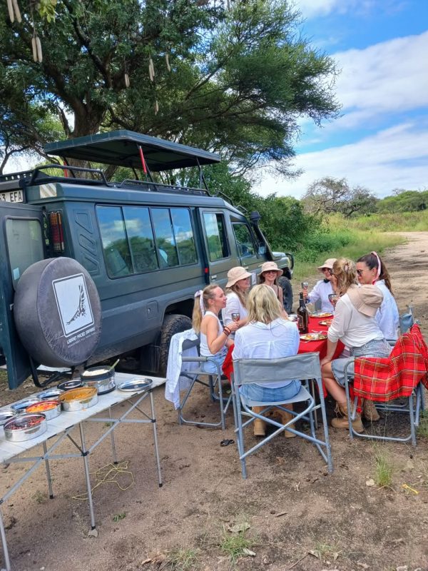 Guests at a picnic table beside their safari vehicle for a bush lunch