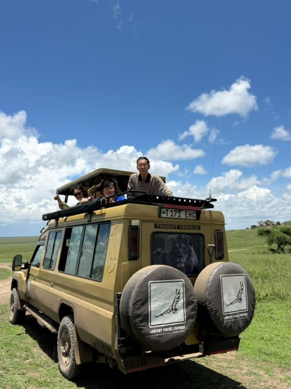 Guests and guide looking out from the roof hatch of a safari vehicle