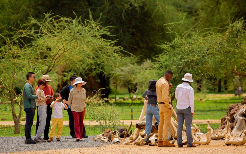 Guests gathered at a shaded picnic stop