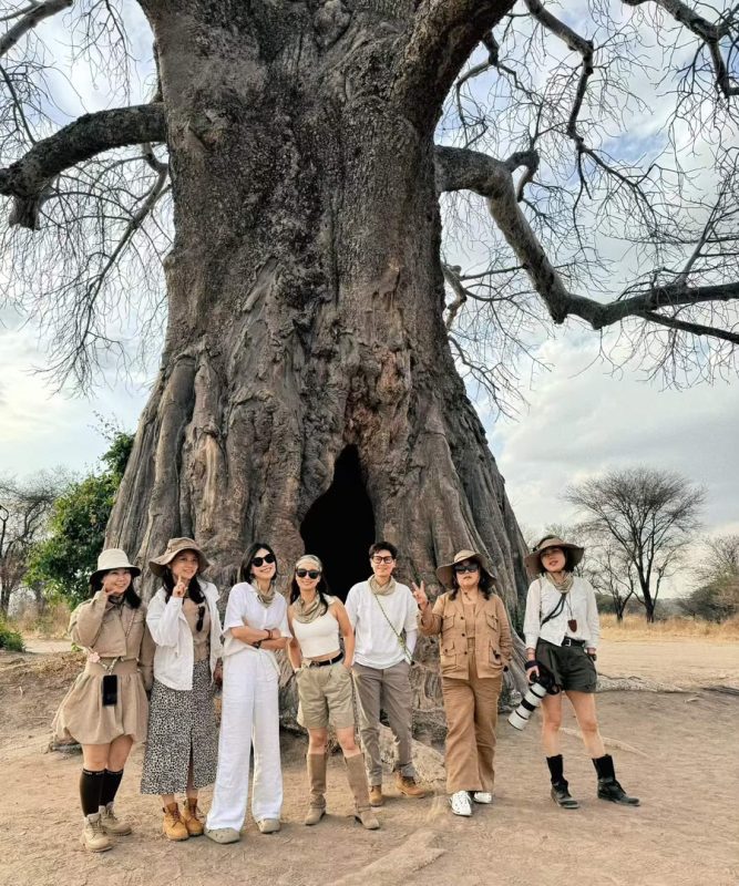 Safari guests standing at the foot of a giant baobab tree