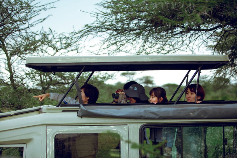 Guests watching and photographing from the open roof hatch