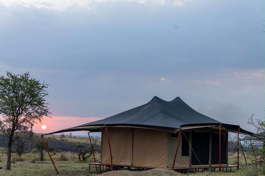 Safari tent silhouetted against a sunset sky