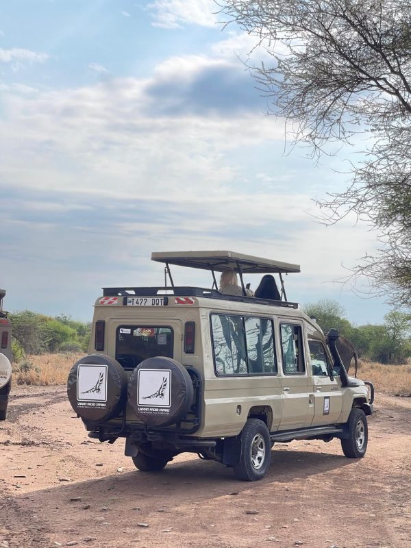 Branded safari vehicle on a dirt track through the bush