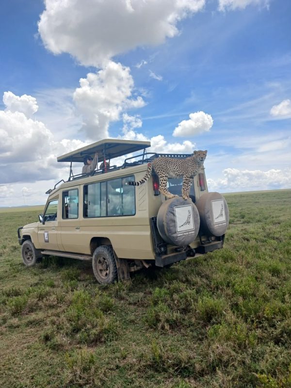Safari vehicle on wide open plains under a big sky