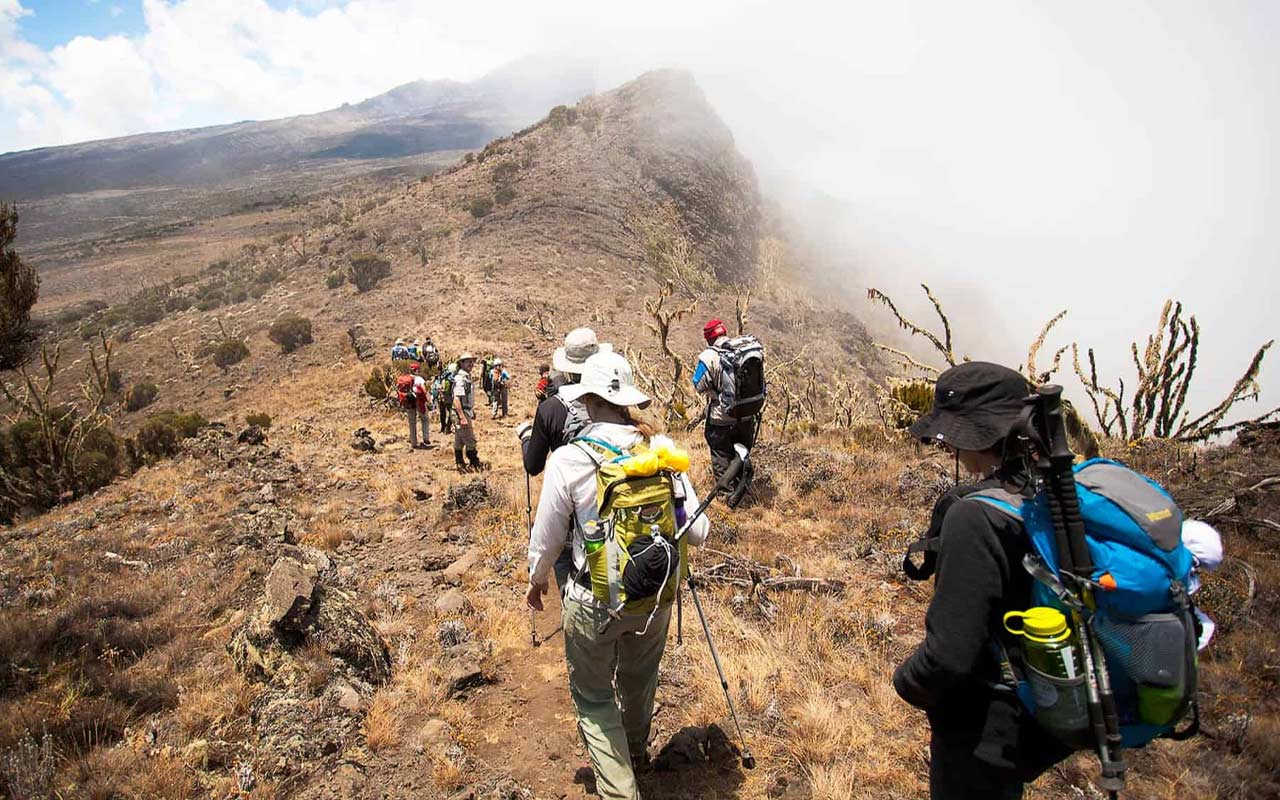 Kilimanjaro Climbing