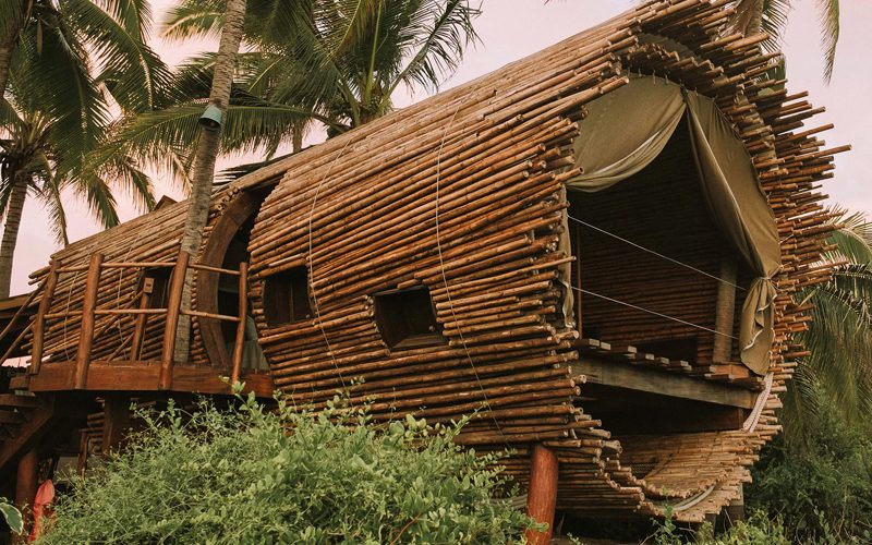 Eco Friendly Stays in Tanzania 1 Africa Safari