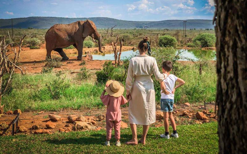 Top All-Inclusive Tanzania Safari Packages