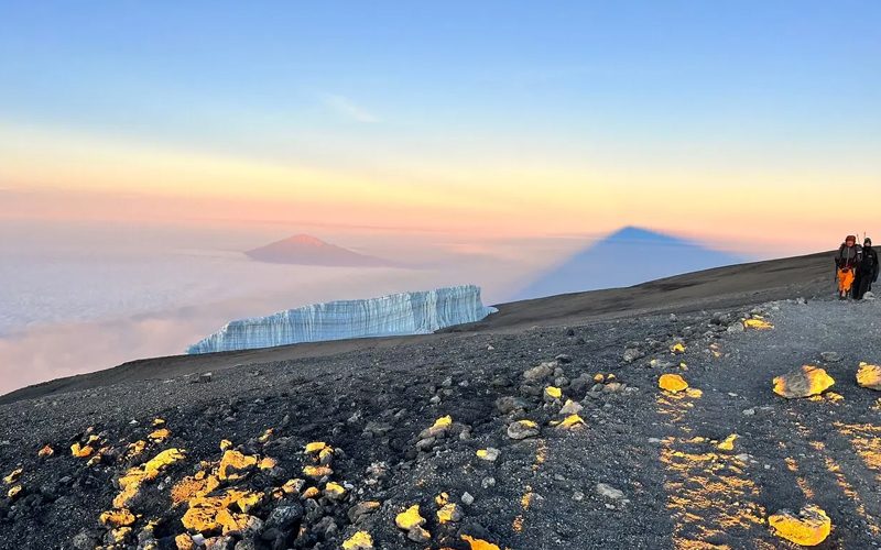 What is the success rate for reaching the summit of Kilimanjaro?