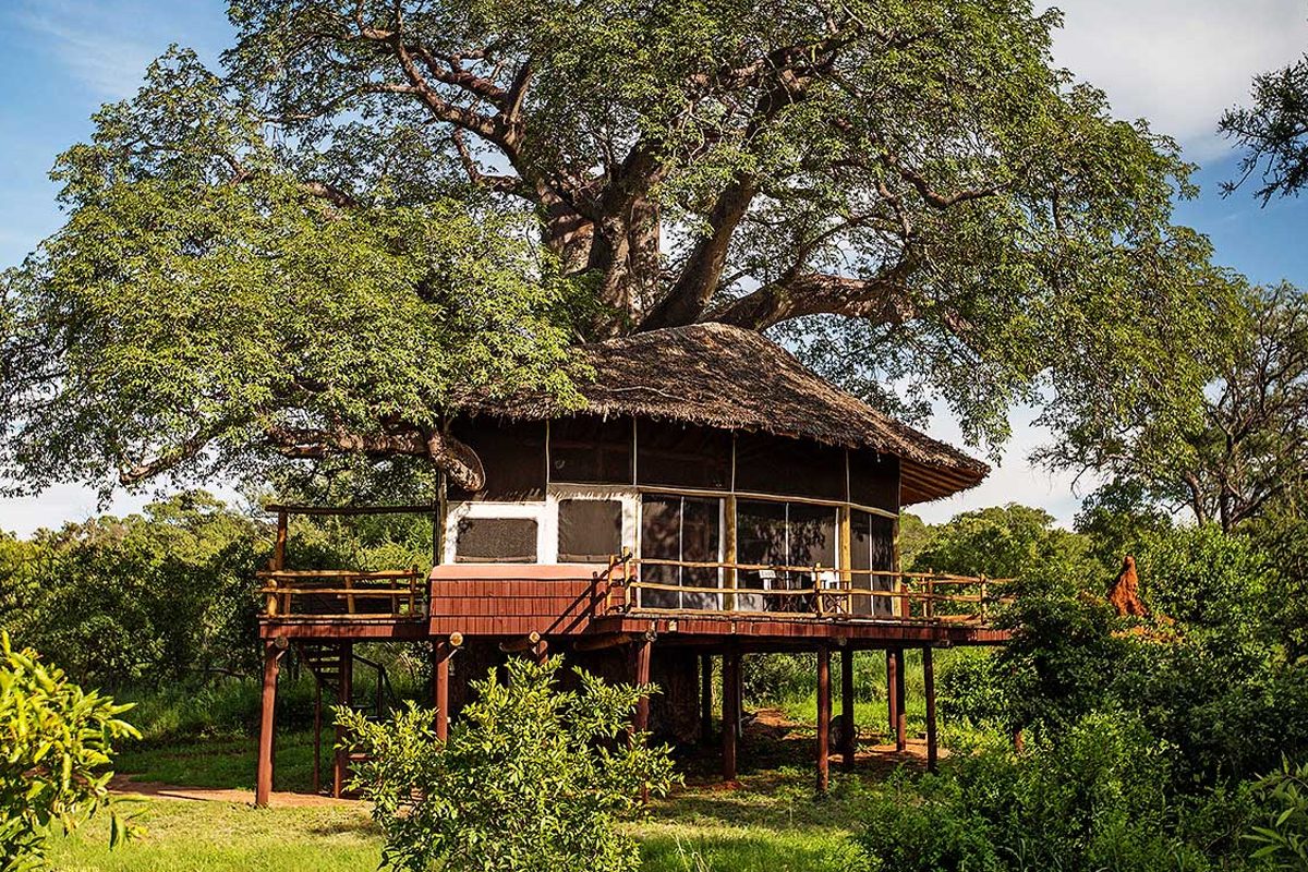 Tarangire Treetops Lodge