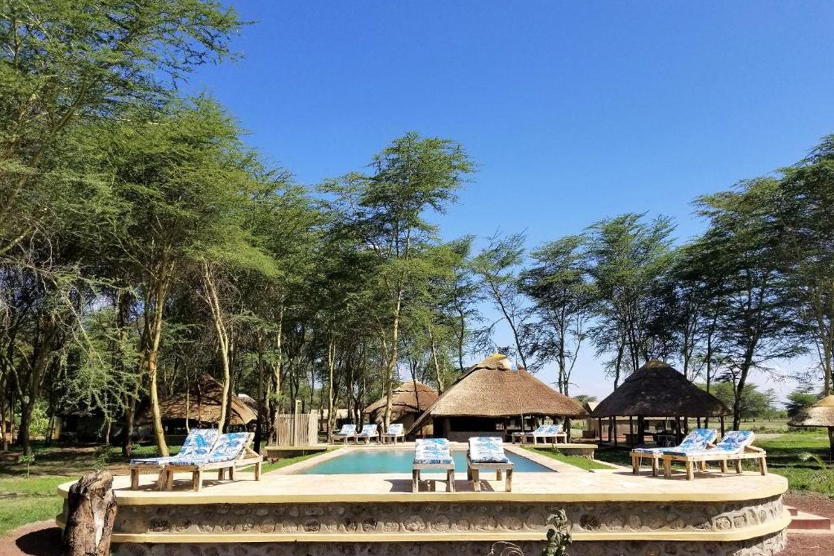 Africa Safari Lake Manyara