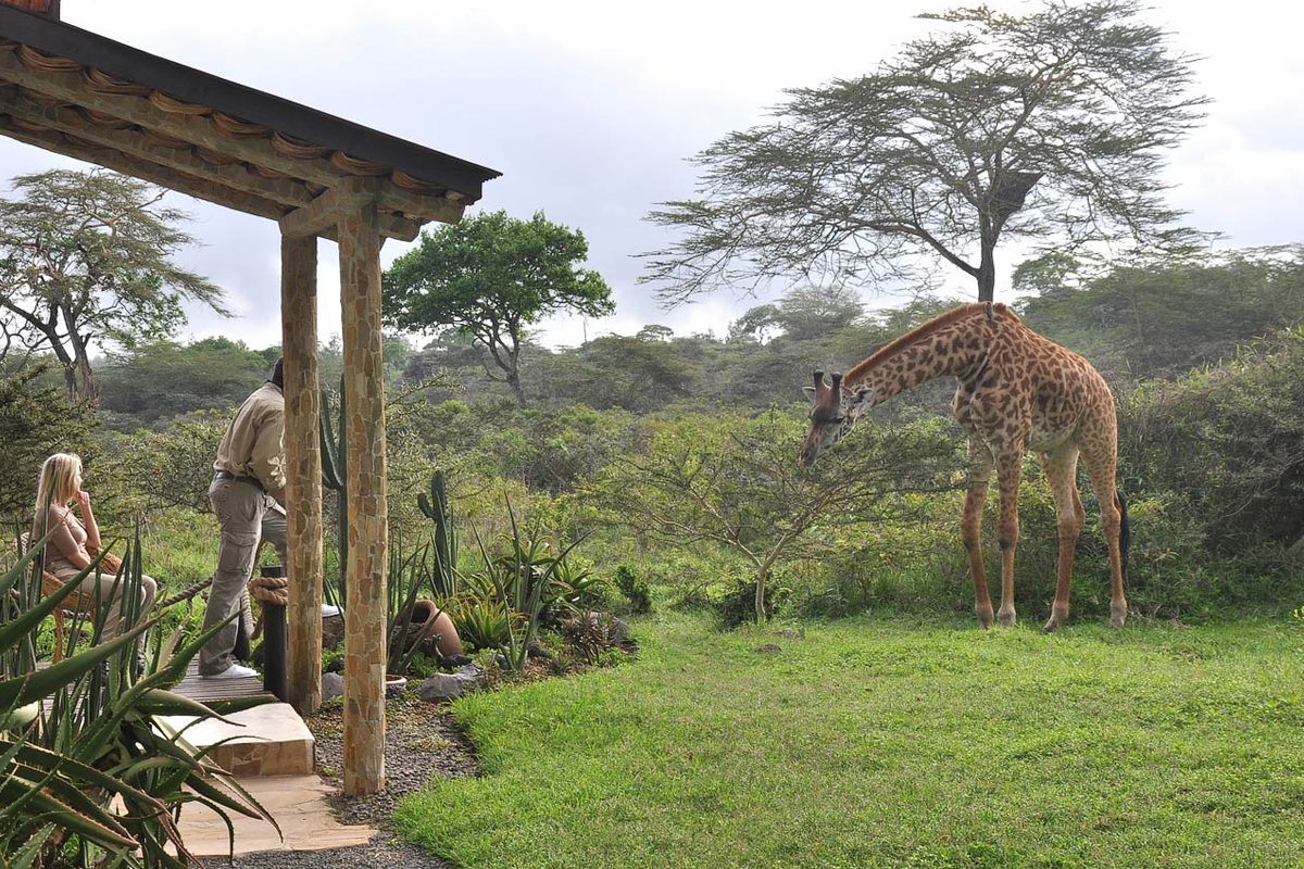 Hatari Lodge
