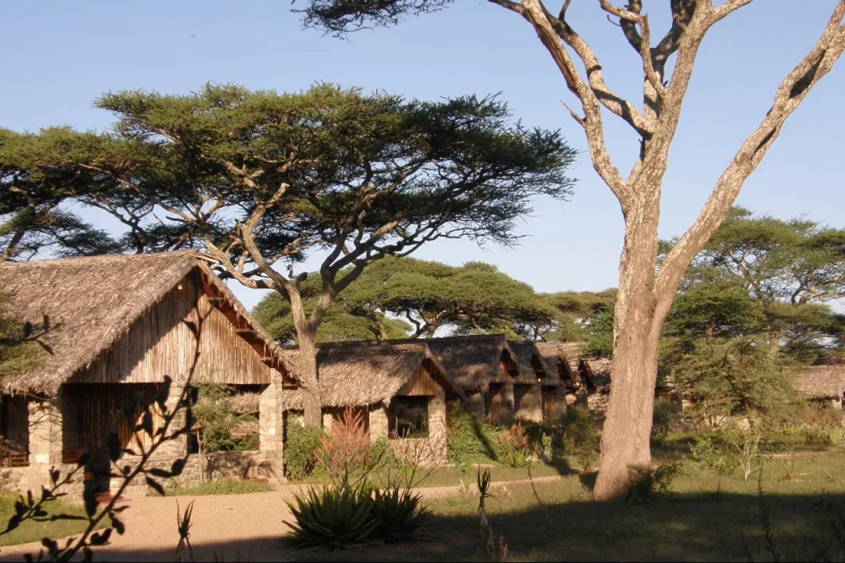 Serengeti Ark Safari