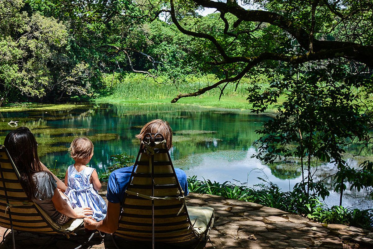 Ngare Sero Mountain Lodge