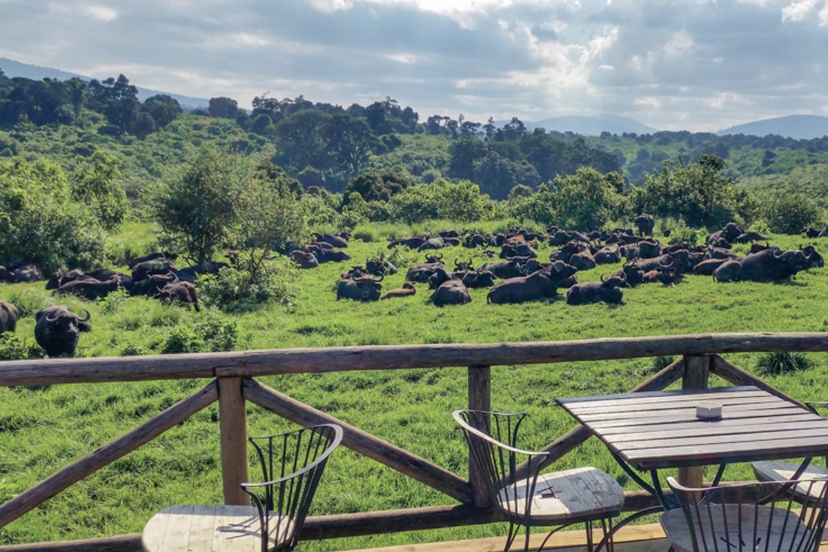Ngorongoro Rhino Lodge