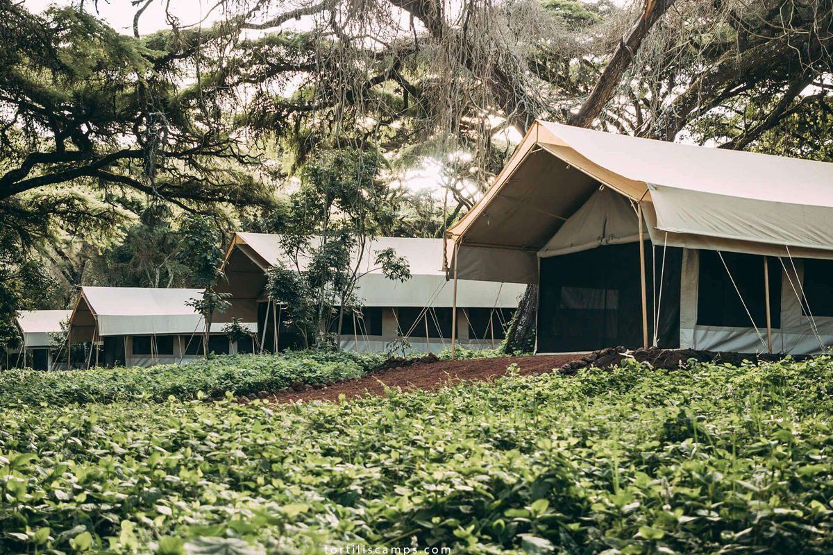 Ngorongoro Tortilis Tented Camp