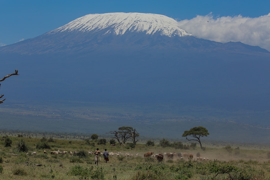 Private Vs. Group Kilimanjaro Tours Which Is Better