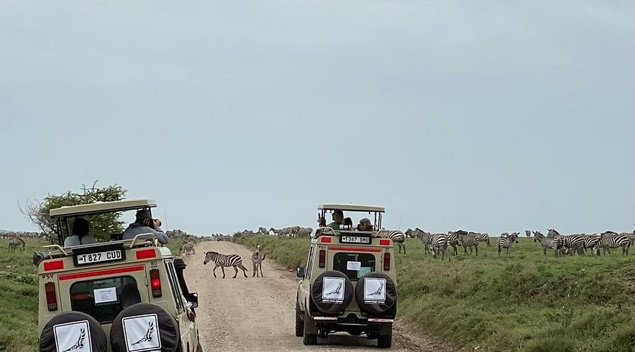 Planning Your Tanzania Safari from the USA